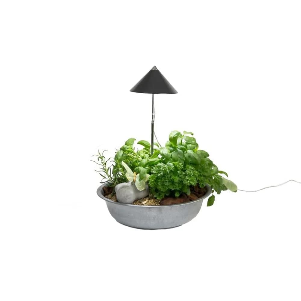 Venso Solutions Pflanzenleuchte SunLite 7 W